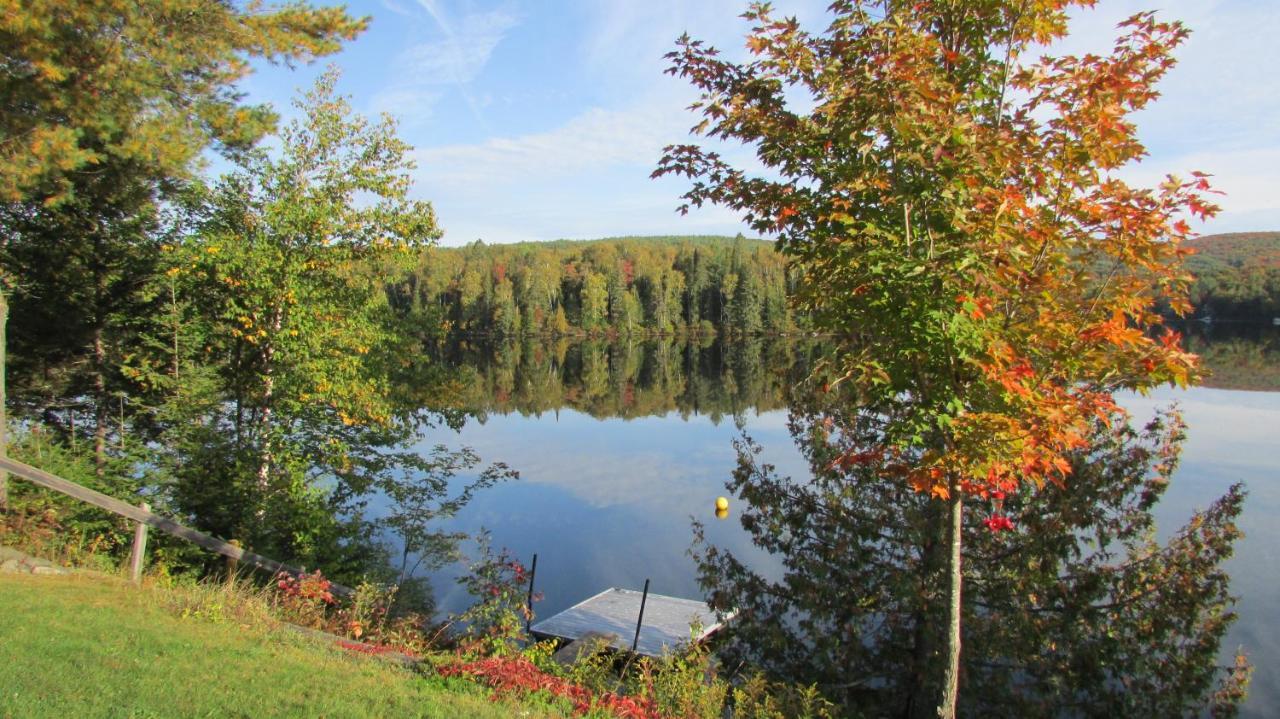 Motel Ours Bleu Lac-Saguay Exterior foto